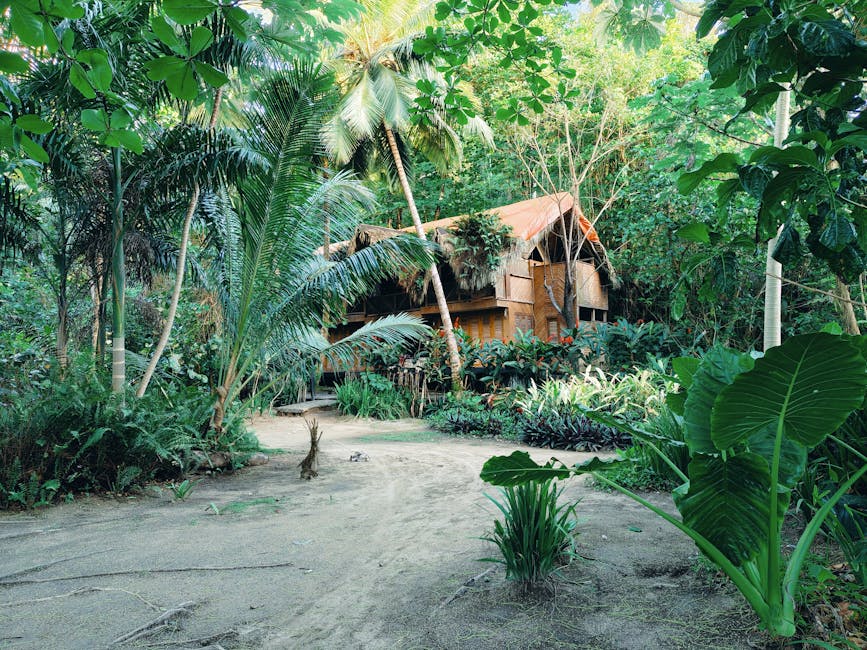 Sapo Rainforest Eco Lodge